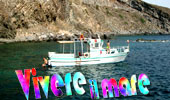 Vivere il mare - Vivere il mare - Vi invita a partecipare ad un'indimenticabile giornata nelle acque di Pantelleria, navigando sotto le scogliere a strapiombo, tra gli scogli semi sommersi, sulle acque verdi delle calette e al largo, ad ammirare i morbidi contorni d'insieme, nelle acque blu, accompagnati nella storia della genesi dell'isola, scritta nei profili e nella natura.