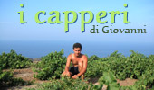  Pantelleria capperi. Capperi di Giovanni. 