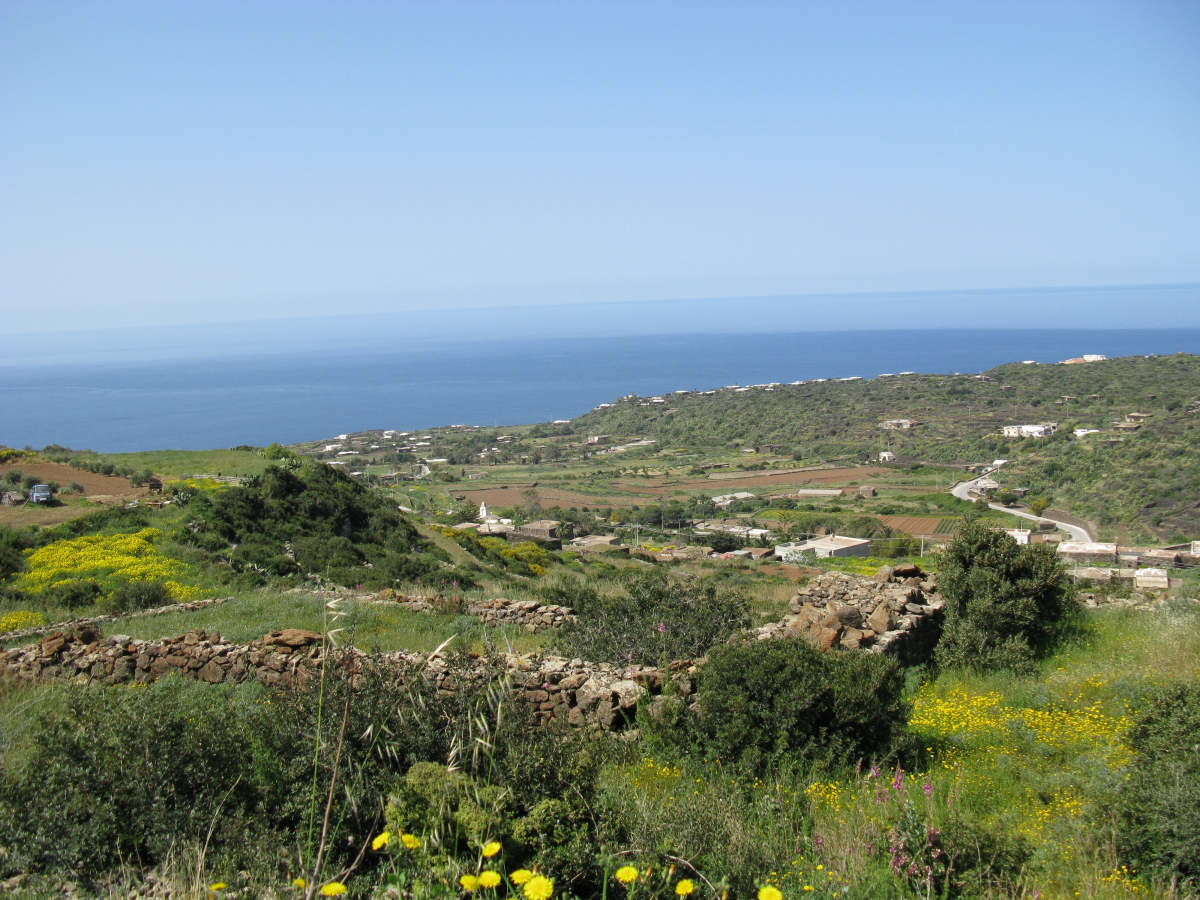  panoramiche dalla casa 