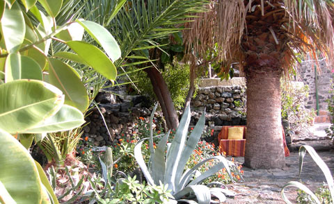 Il giardino 