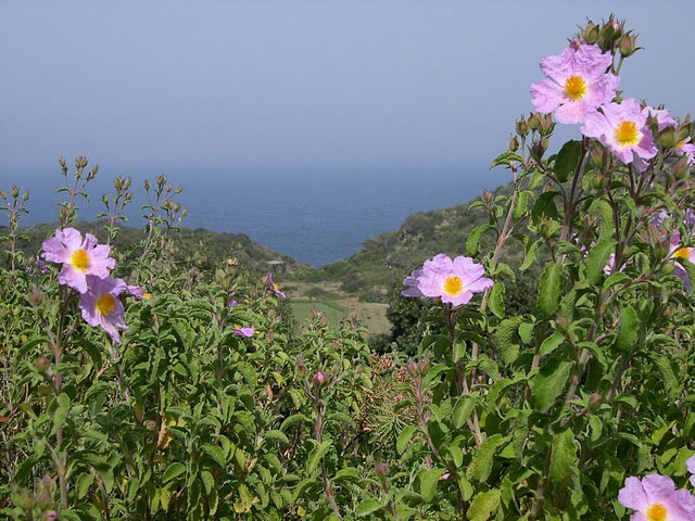 Dammusi al Lago - Pantelleria photo. (foto 8)