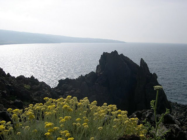 Dammusi al Lago - Pantelleria photo. (foto 7)