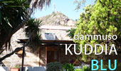  Kuddia Blu 