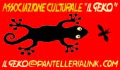  Il Geko 