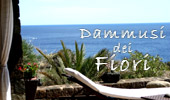  Dammusi dei Fiori 