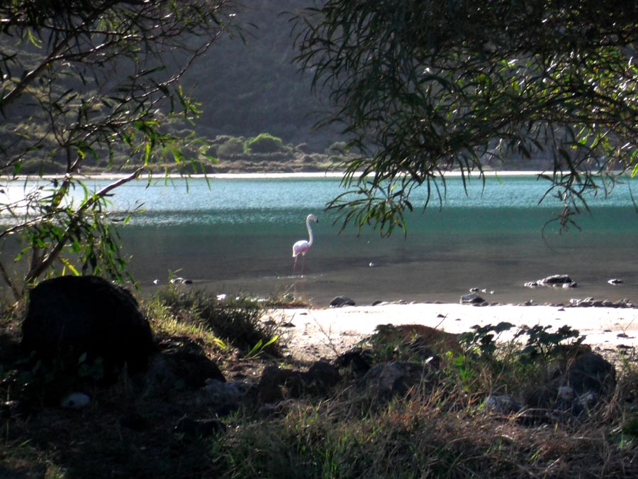  Pantelleria foto 