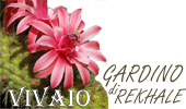  Il Gardino di Rekhale 